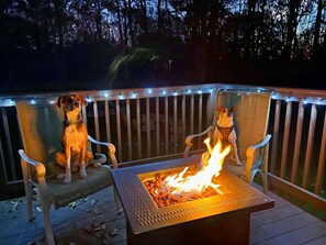 **Propane Fire Pit** Relax by the fire at our pet friendly home!