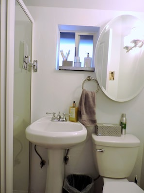 Shower, Pedestal Sink, Toilet, Medicine Cabinet and Mirrors.