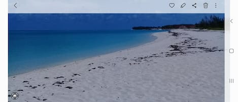 Shell Beach in Port Royal, South Bimini. 10 minutes bicycle ride.