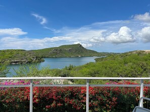 Ocean view from front terrace