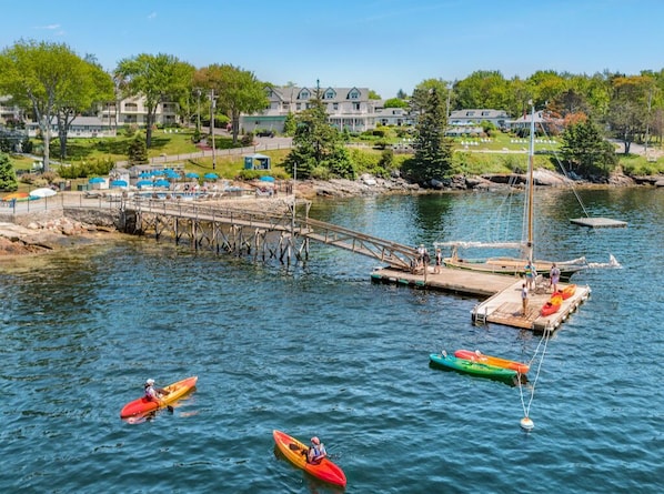 Paddle through sparkling waters and vibrant harbor life for a day full of fresh air and free-spirited fun.