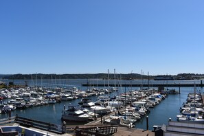 Sit outside and watch the activities of a working harbor.