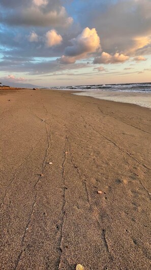 Plage à 50 mètres