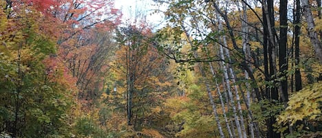 Terrain de l’hébergement 