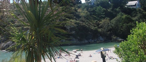 Rospico