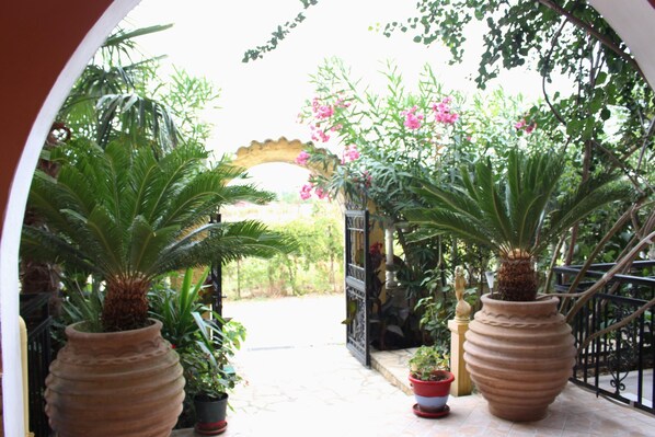 Terrass/Patio