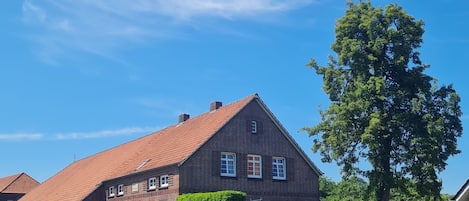 Udendørsområde