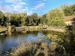 The natural swimming pool, access from the rear of the gîte