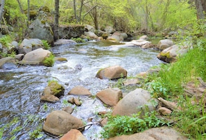 Tule River runs through the property