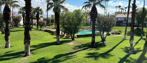 View of the pool and lawn from back patio of condo 