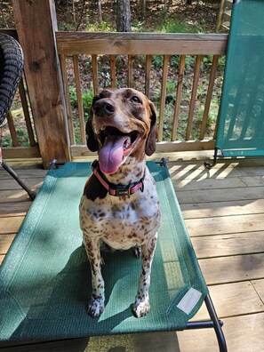 Happy Tails!!