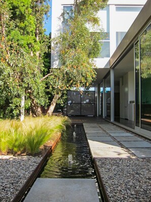 garden pond