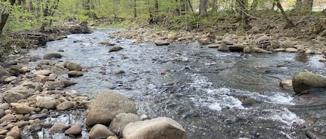 Creek