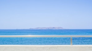 Vista desde la propiedad