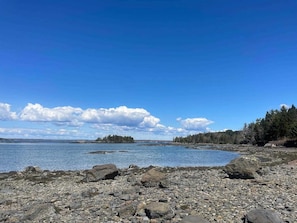 Beach by Seal Rock