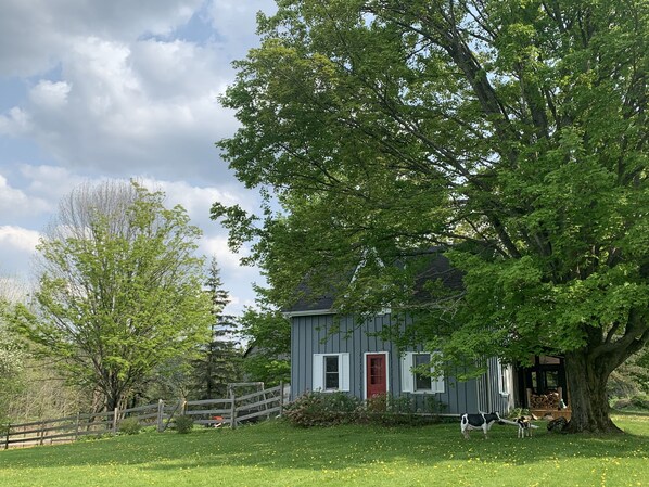 Updated century farmhouse sitting on 3 private acres.