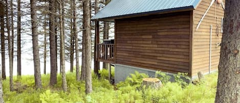 View of Augustine Cabin from spruce grove