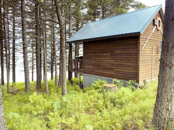 View of Augustine Cabin from spruce grove