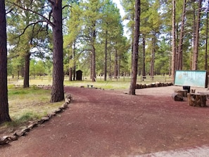 Backyard= expansive with gravel paths, Alexa music speaker, & a target wall.