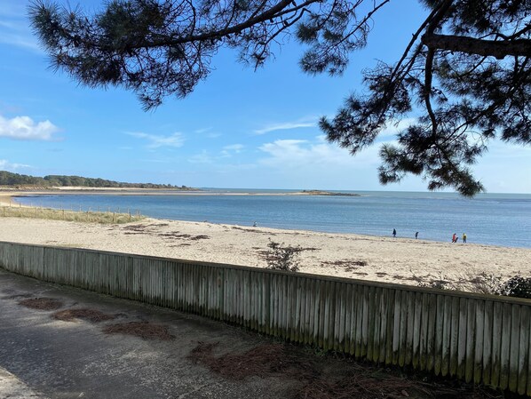 Strand