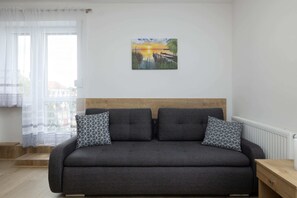 Living area with two comfortable double sofa beds.