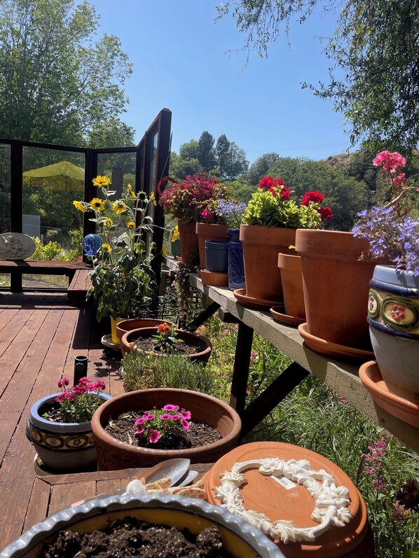Terraza o patio