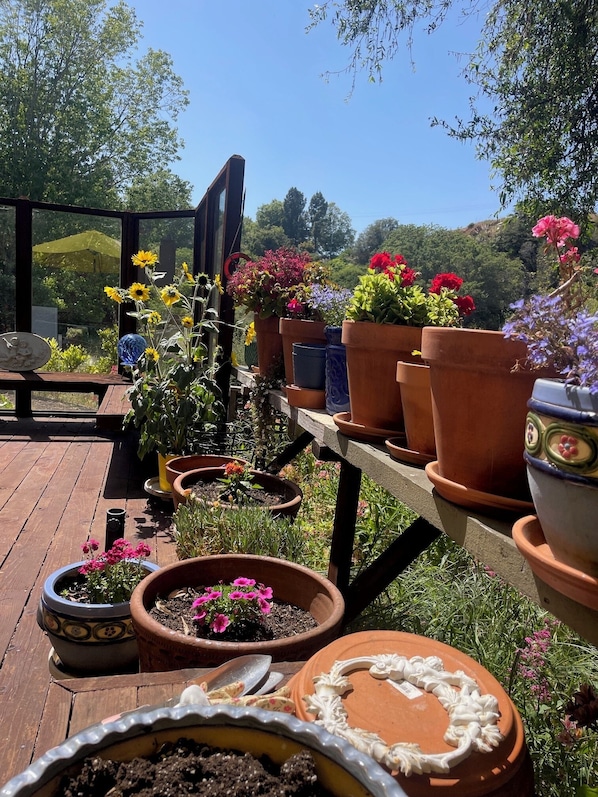 Terraza o patio