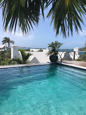 Unique pool with infinity edge and loungers, views of the sound
