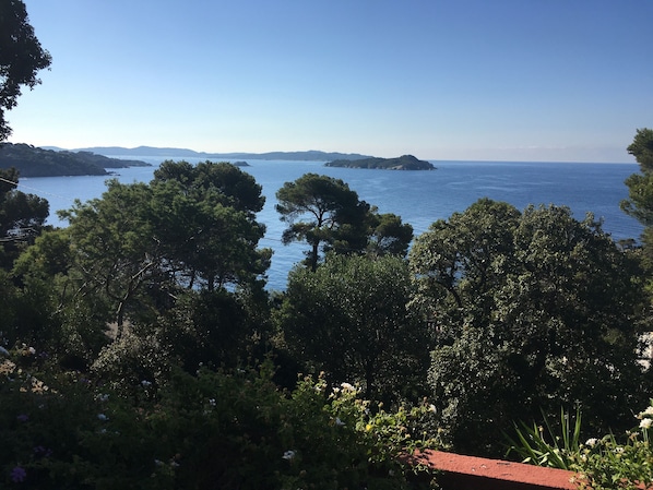 la vue