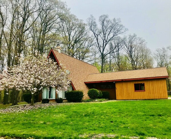 Exteriör