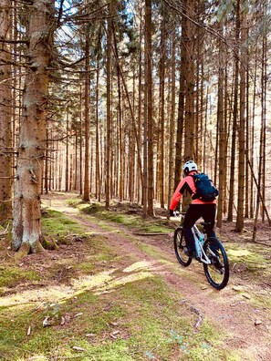 Mountainbiking im Odenwald