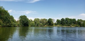 Lac de Montrevel en bresse