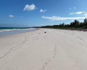Windermere island has a world-class 3-mile-long pink sand beach that is wide, flat, and well protected by a barrier reef.