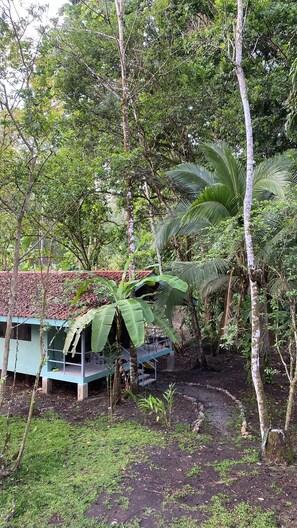 View of the cabin from the main house