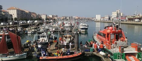 Port de pêche