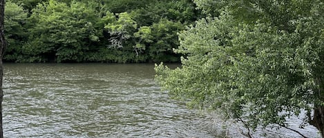 The Little Tennessee River is great for swimming, fishing, tubing, & relaxing