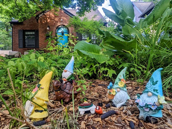 Front of the house - a view from the rain garden