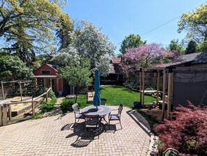 Back yard and garden in the spring