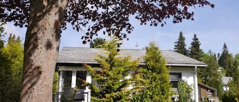 Ferienhaus "Free Willi"