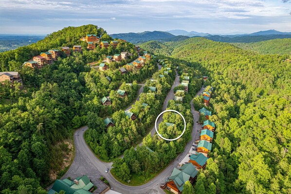 The NEST is in the Sherwood Forest Resort.  We are on the 2nd tier with no steep roadways getting you to the cabin.   Close to Dollywood, National Park and Gatlinburg.