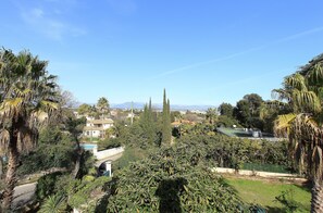 View from the terrace