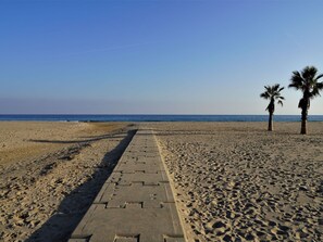 Sky, Tree, Arecales, Beach, Coastal And Oceanic Landforms, Water, Plant, Horizon, Landscape, Plain