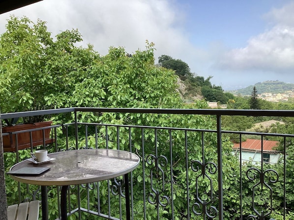 Wolke, Pflanze, Himmel, Eigentum, Pflanzengemeinschaft, Tabelle, Grün, Botanik, Natürliche Landschaft, Baum