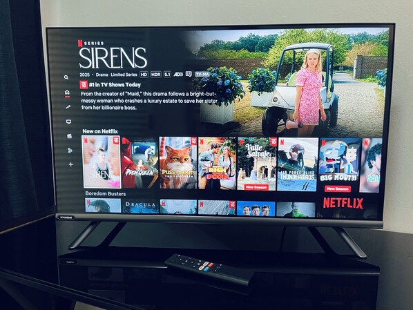 Fernseher