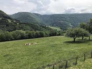 Mountain view