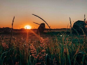 Sunset from the meadow 