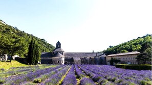 Site d’intérêt