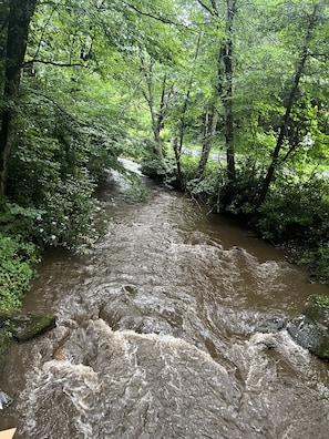 Howards Creek with Trout fishing 