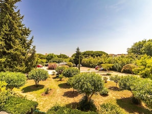 Pflanze, Himmel, Natürliche Landschaft, Baum, Gras, Landschaft, Wolke, Immergrün, Ground, Hecke