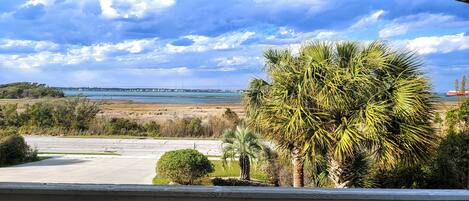 Front porch overlooking palm tree garden and waterfront views of Bogue Sound.